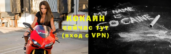 твердый Горно-Алтайск