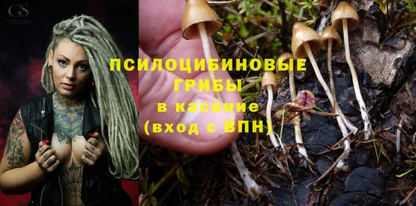 твердый Горно-Алтайск