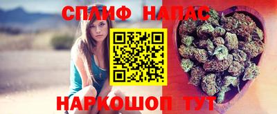 apvp Гусиноозёрск